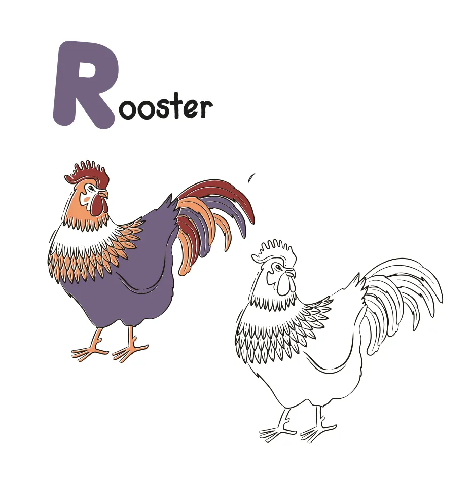 abc book letter r