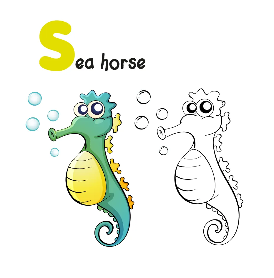 abc book letter s