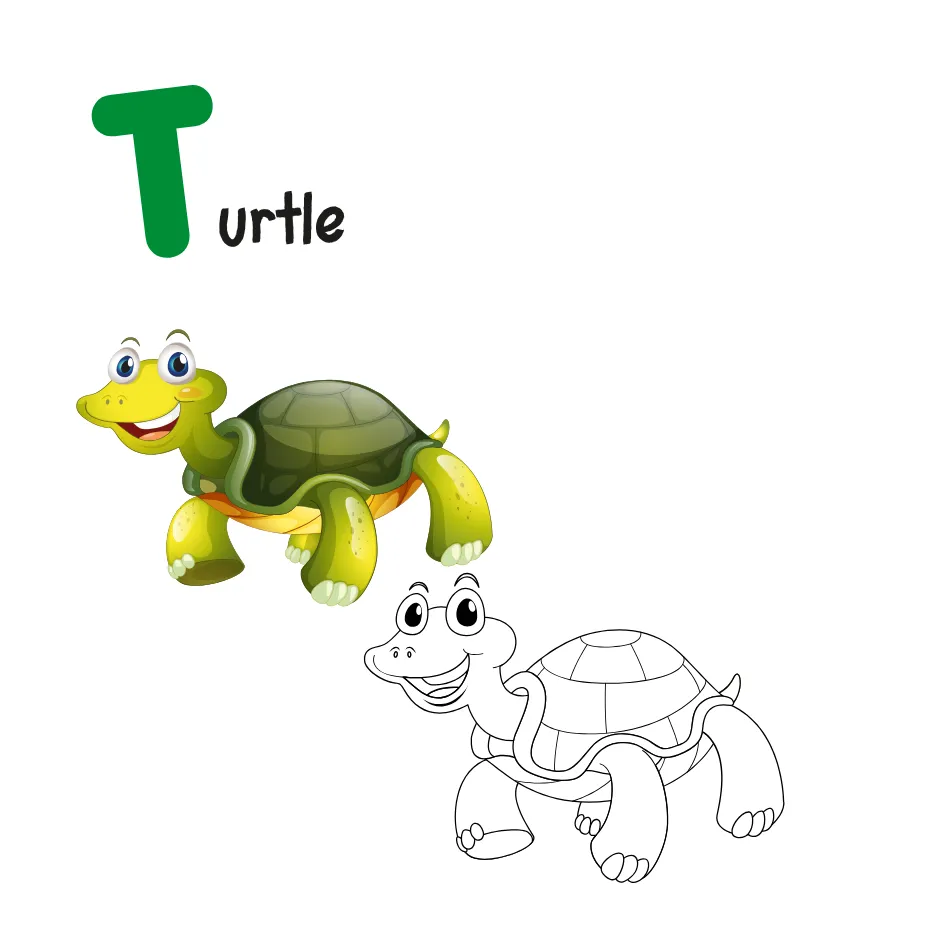 abc book letter t