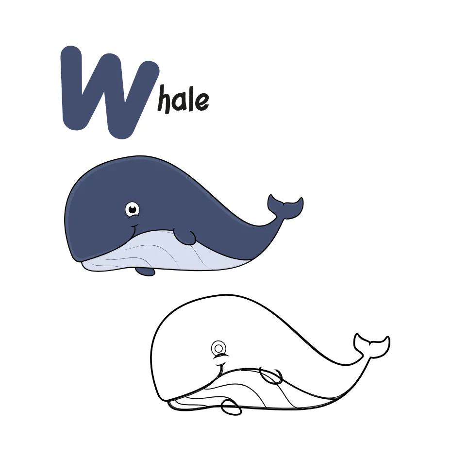 abc book letter w