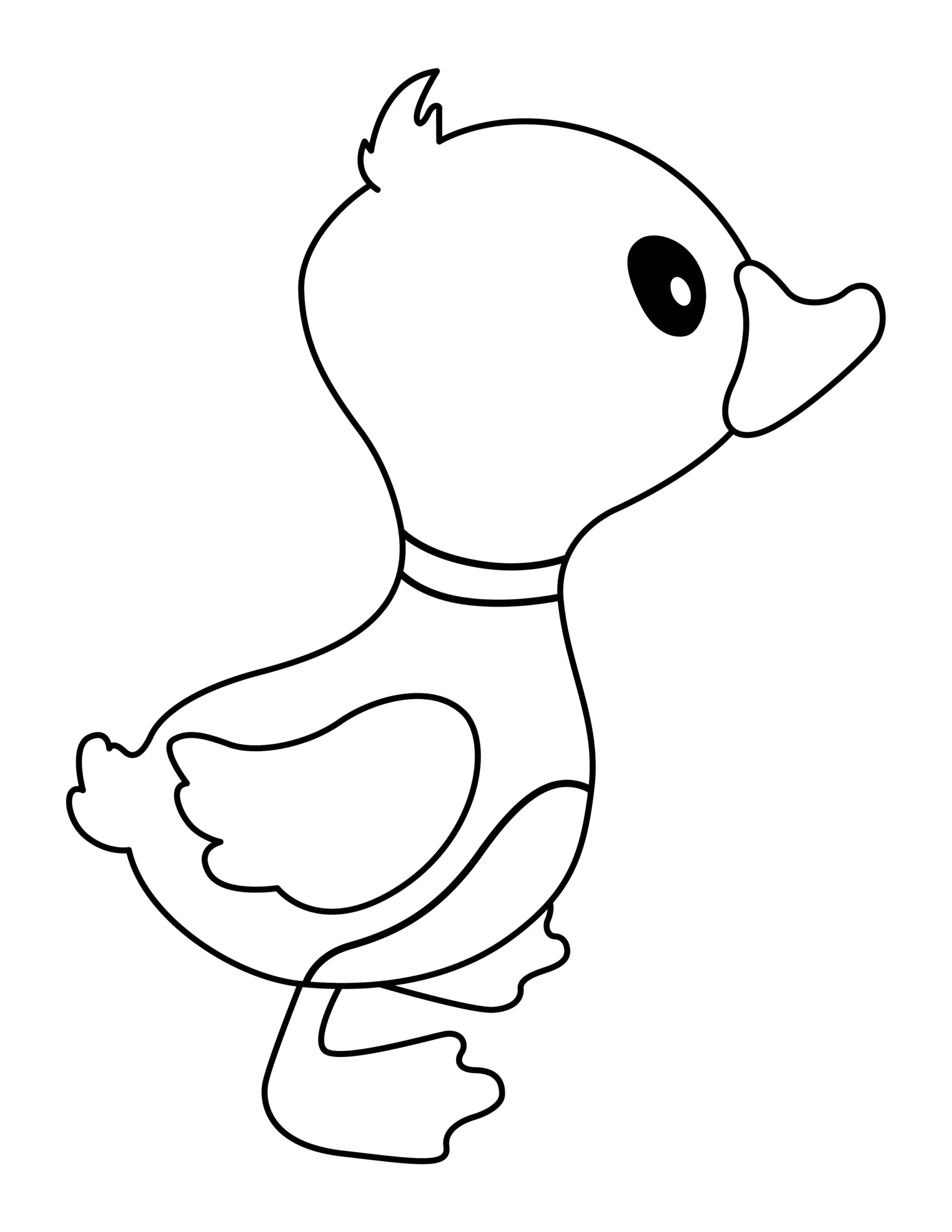 Duck Coloring Page | Free Printable PDF