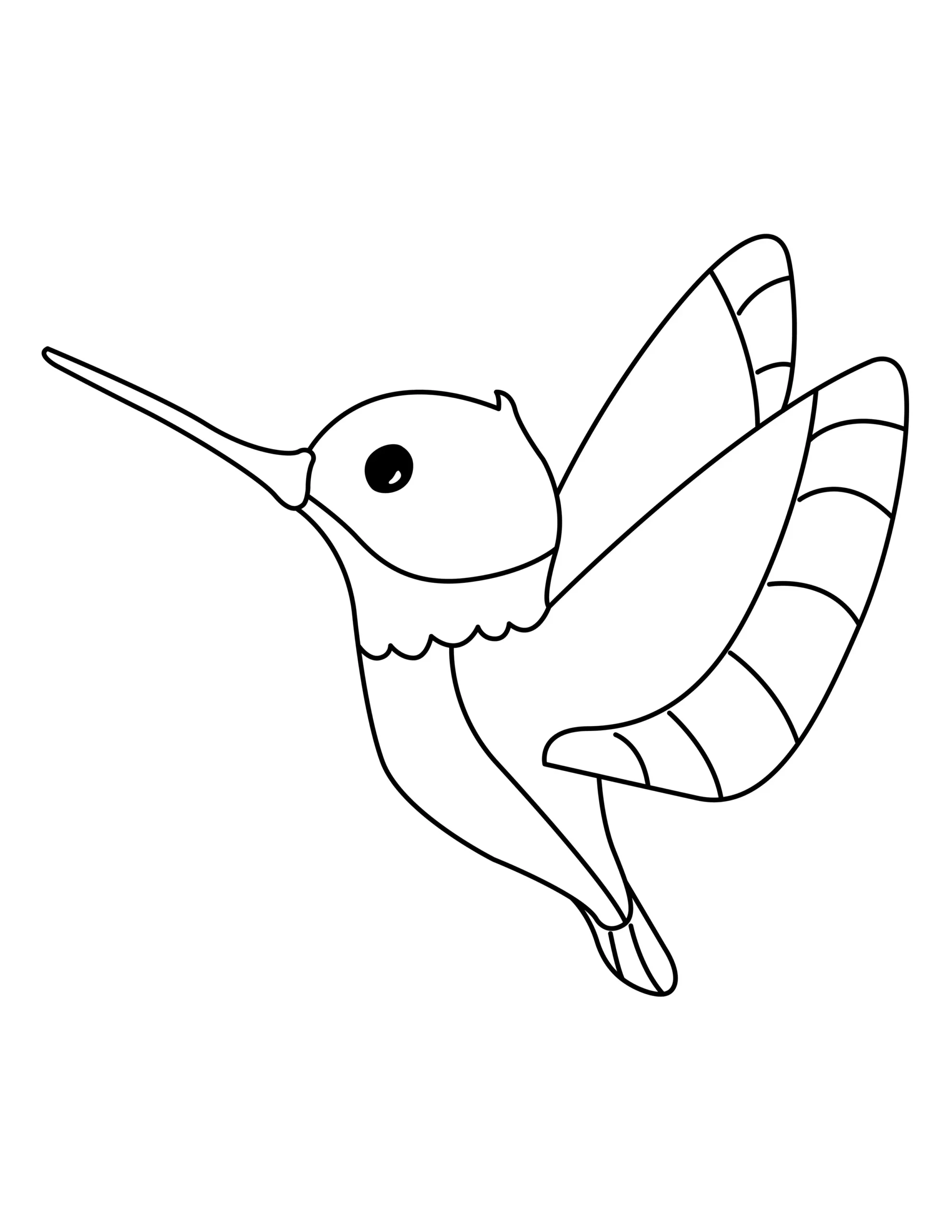 Hummingbird Coloring Page | Free Printable PDF