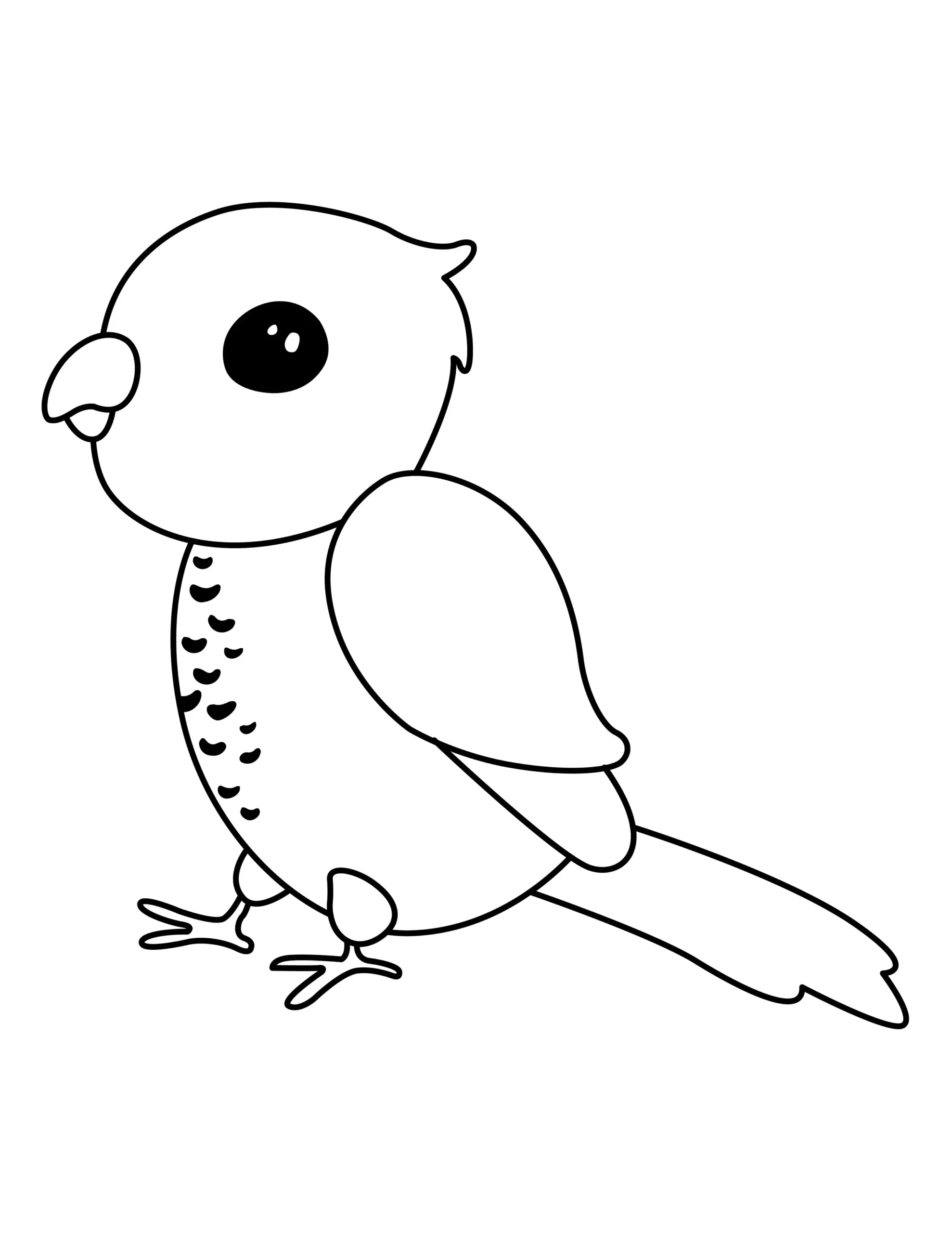 Parrot Coloring Page | Free Printable PDF